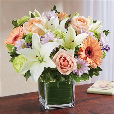 Healing Tears&trade; Multicolor Pastel